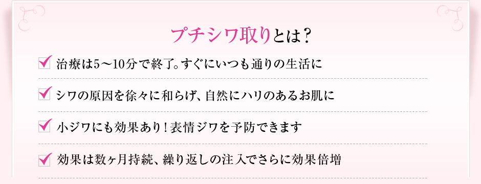 プチシワ取りはこんな方にオススメ