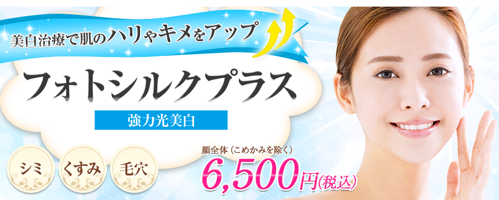 フォトシルクプラス