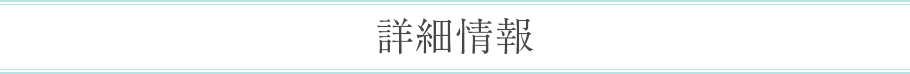 詳細情報
