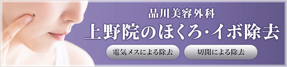 品川美容外科 上野院のほくろ・イボ除去 電気メスによる除去・切開による除去