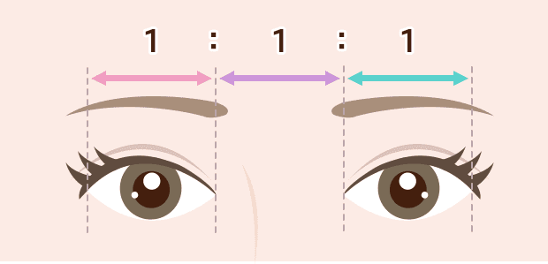 目と目の間の理想的なバランス