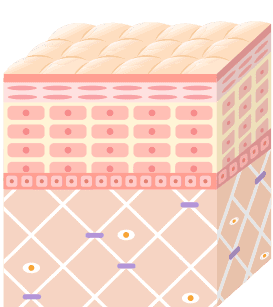 リフティング&引き締め