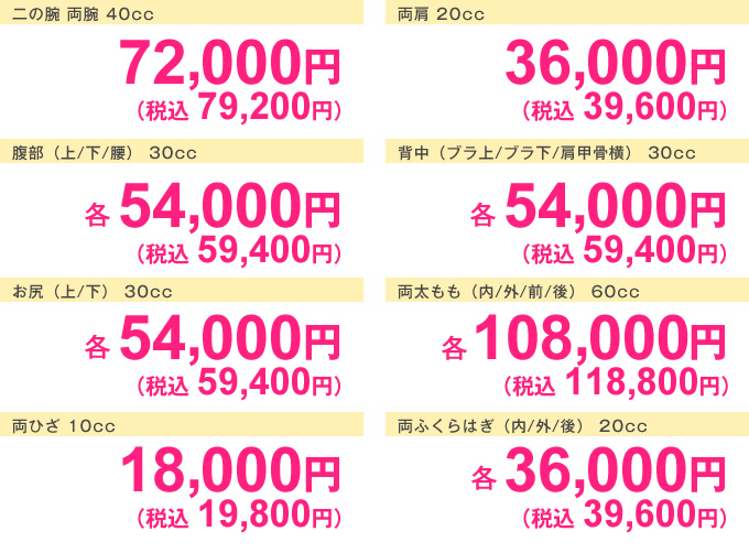 スリムプログラム 価格表