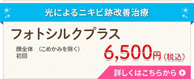 フォトシルクプラス