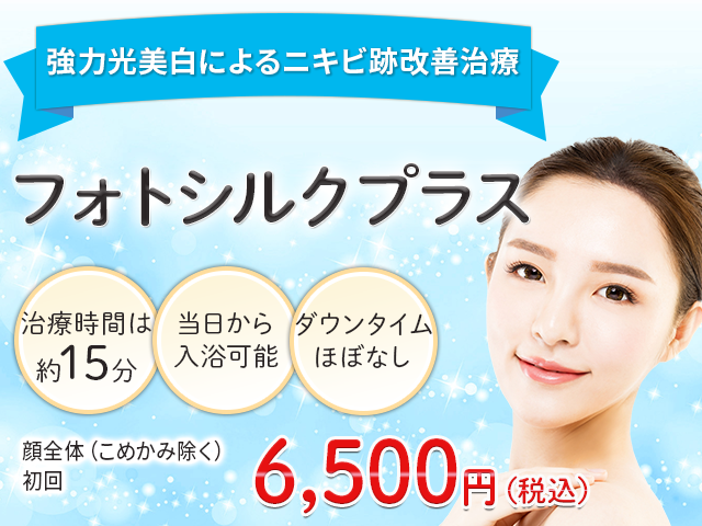 フォトシルクプラス