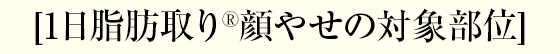 1日脂肪取り®顔やせの対象部位