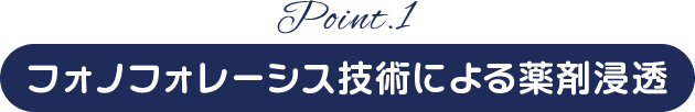 Point.1 フォノフォレーシス技術による薬剤浸透