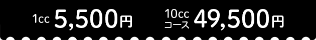 1cc 5,500円 10ccコース 49,500円